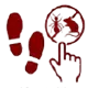 Pest activity identification