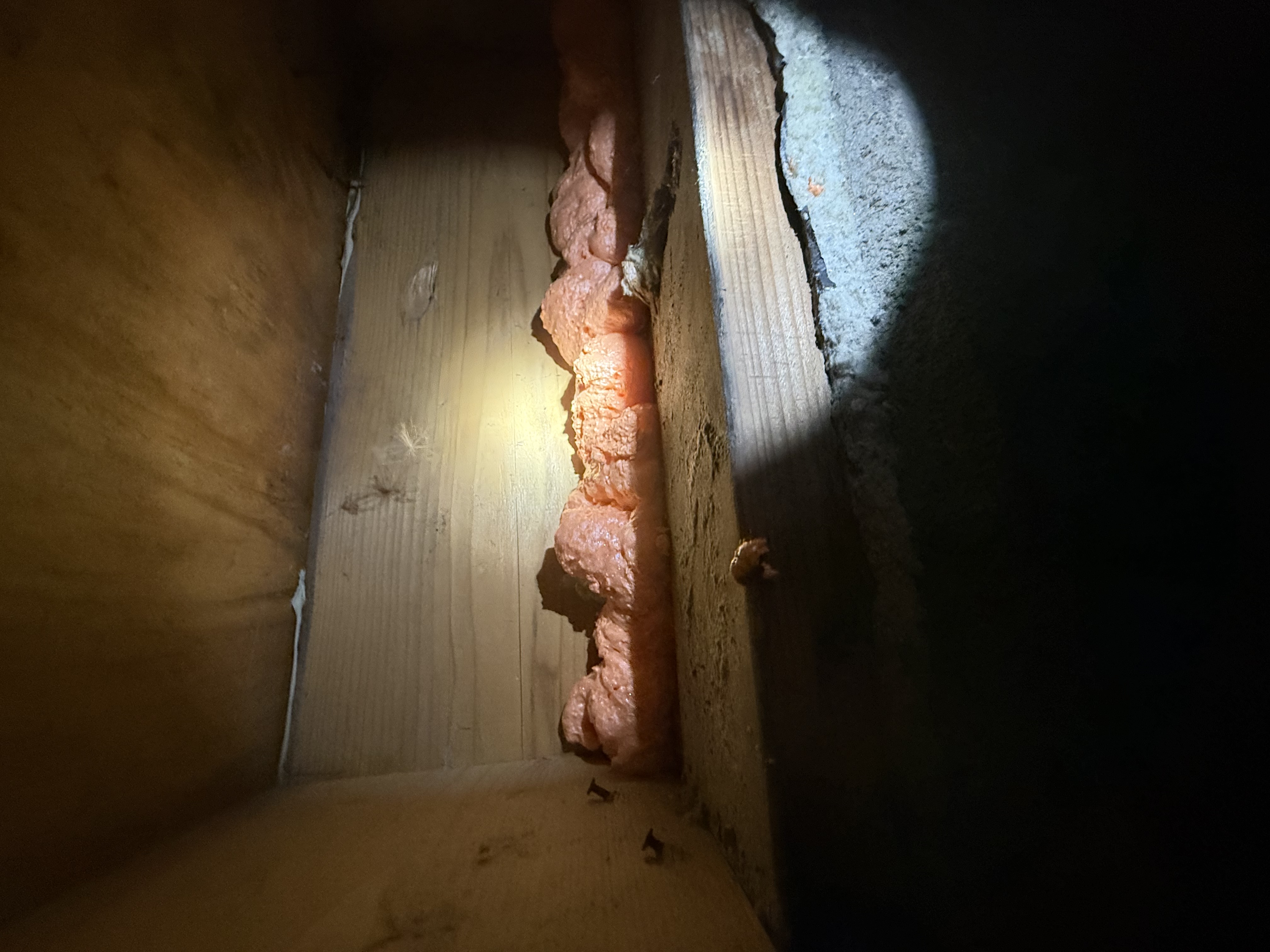 Attic exclusion in Eagle County sealing pest entry points