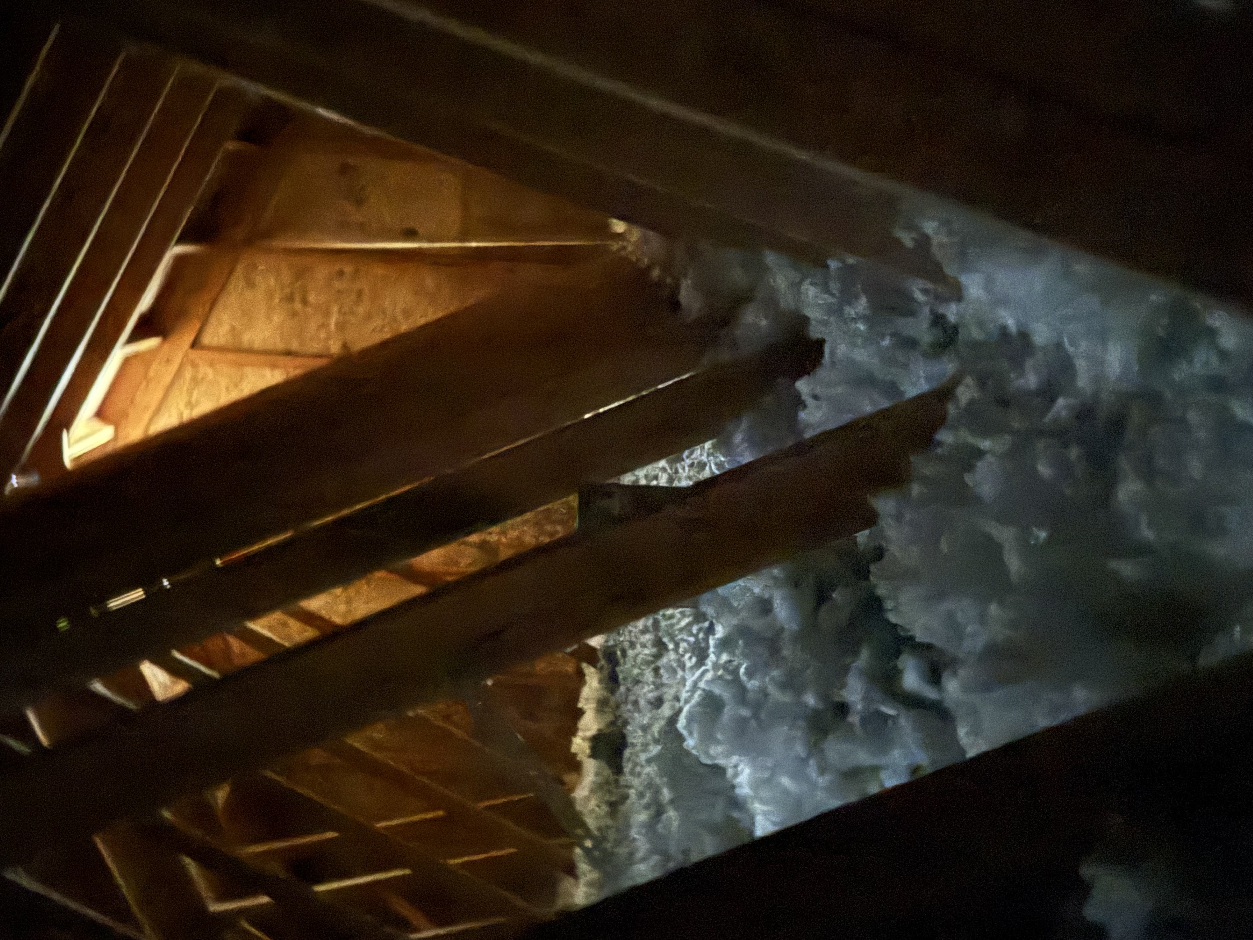 Attic cleanout services in Eagle County for pest contamination