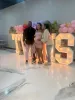 Baby shower twins1 1.webp