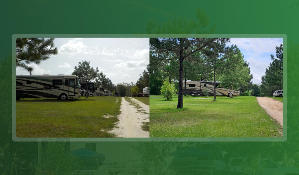 Shaded RV sites at a peaceful RV park in Dothan, Alabama