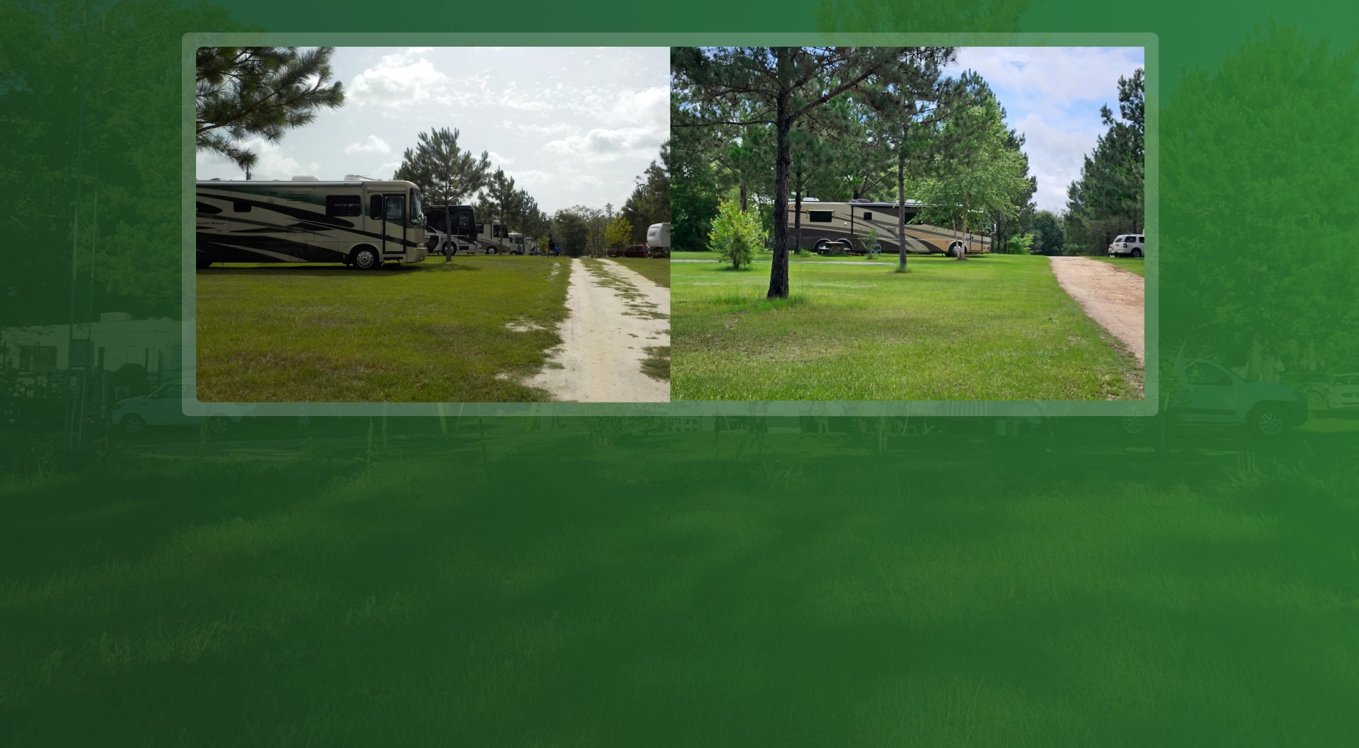 Shaded RV sites at a peaceful RV park in Dothan, Alabama