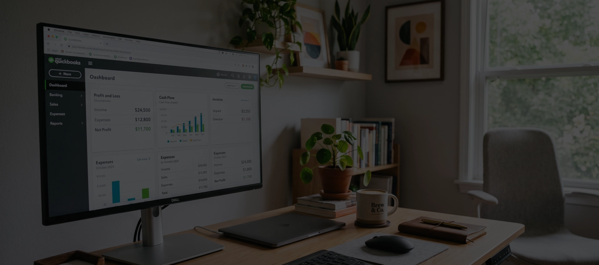 QuickBooks cleanup services in Litchfield Park