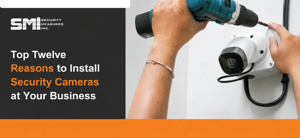 Top Twelve Reasons to Install Security Cameras at Your Business.webp