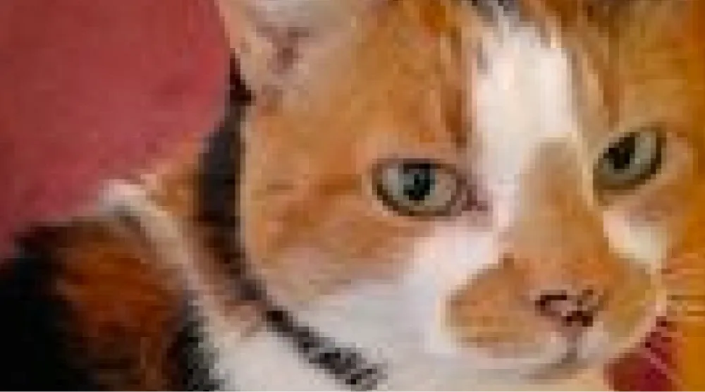 blog06.webp