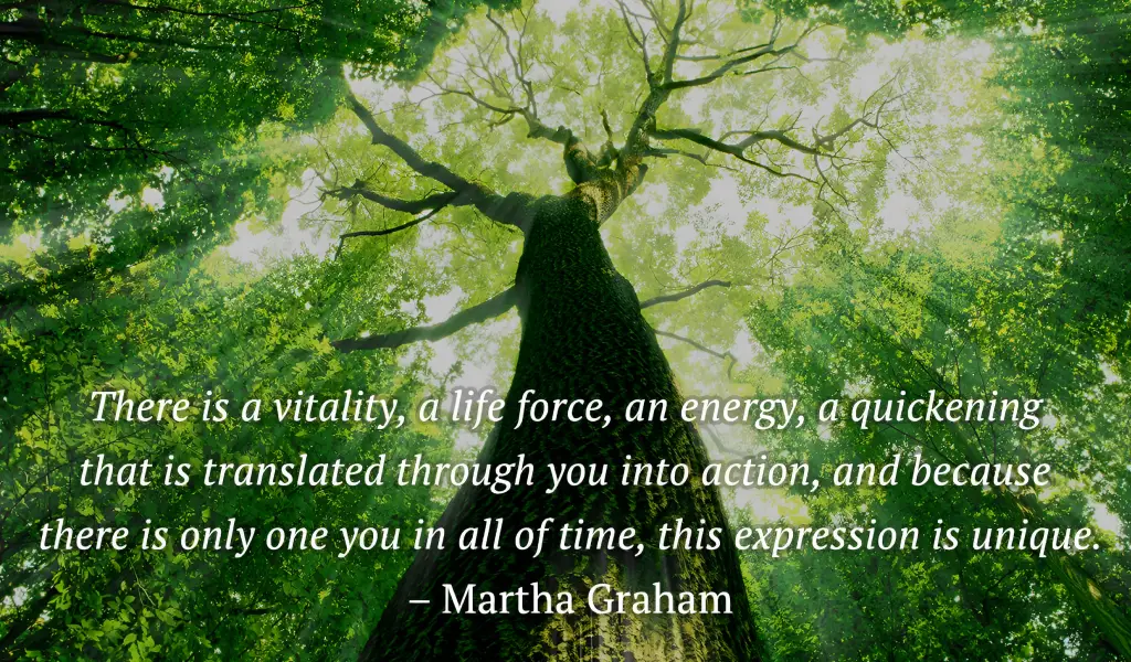 Somatic Coaching And The Enneagram