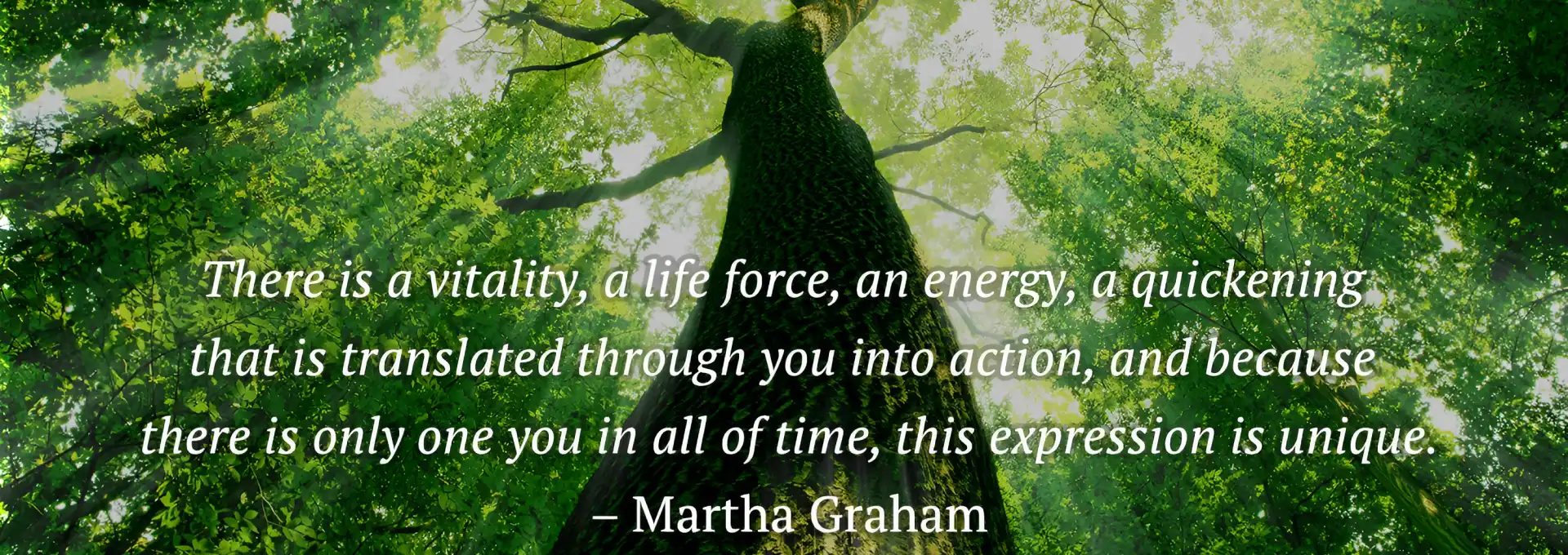 Somatic Coaching And The Enneagram