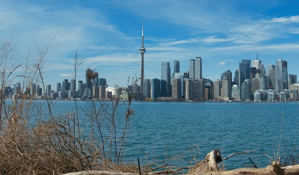 Virtual coaching session connecting clients across Canada