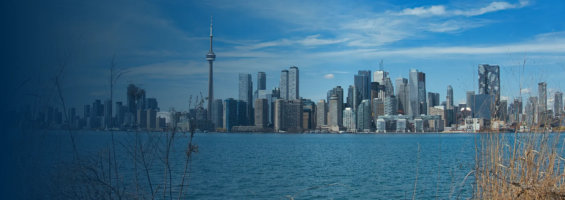 Virtual coaching session connecting clients across Canada