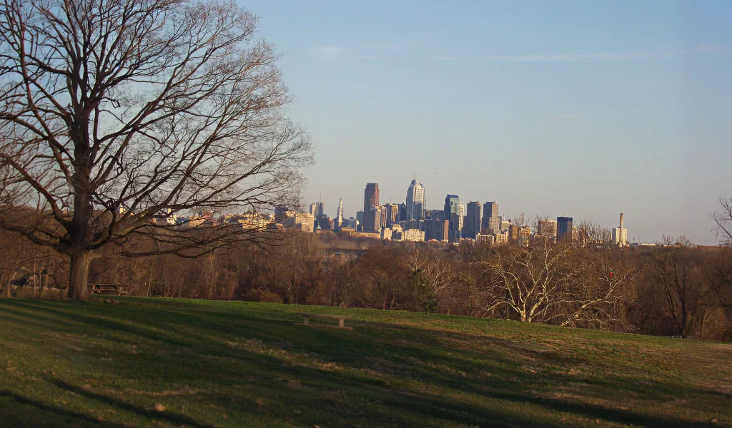 Professional exploring executive coaching services for professional growth
