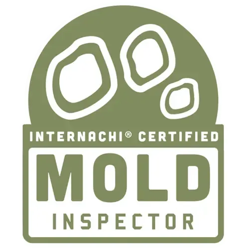 Mold Logo