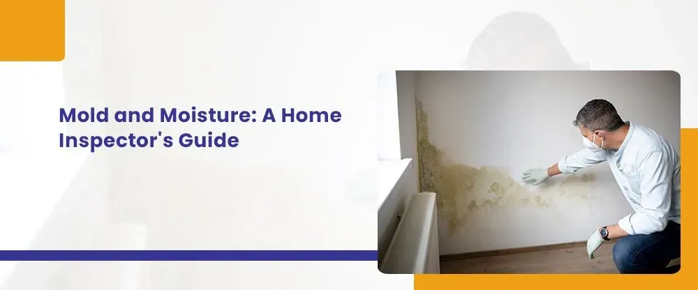 Blog by DS Home Inspection Services, LLC by DS Home Inspection Services, LLC