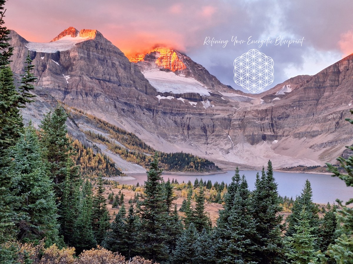 Energy-Based Coaching Calgary