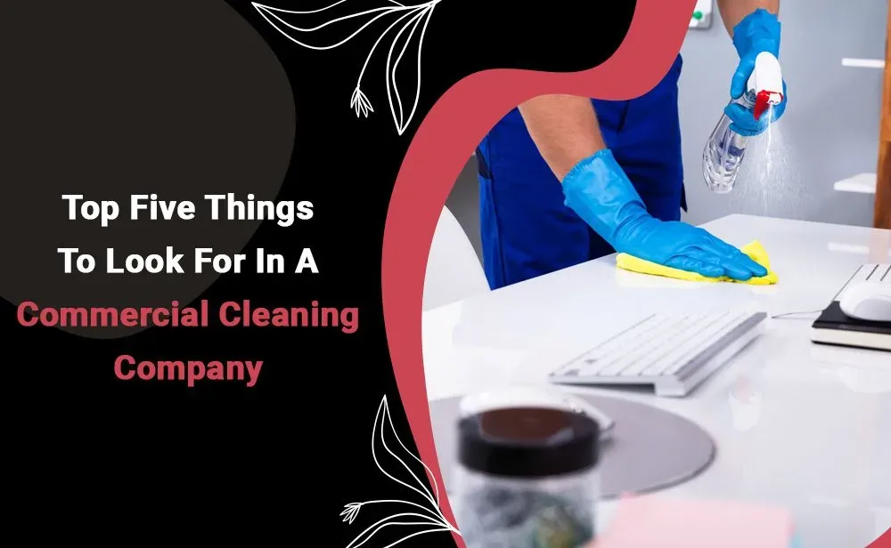 top five things.webp