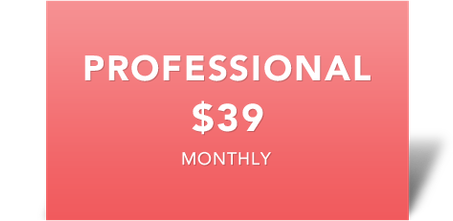professional-hosting