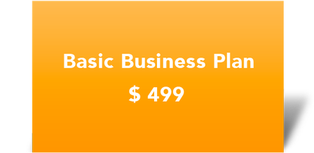 Basic 499